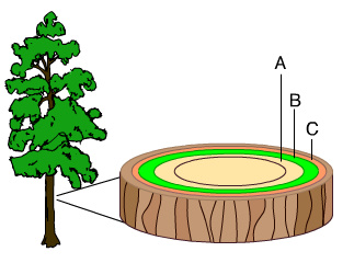 Question 12