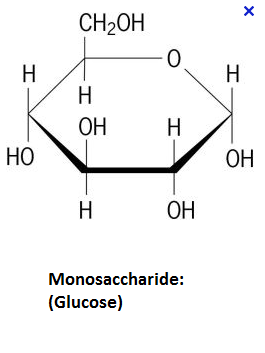 Diagrams of Carbon Molecules Chains  Flashcards - Flashcards