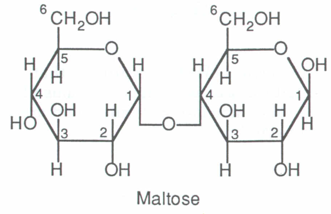 Carbohydrate: Disaccharide2 Monosaccharides B... - Flashcard