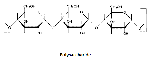 Carbohydrate: PolysaccharideComplex Carbohydr... - Flashcard