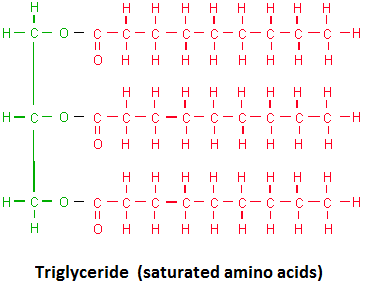 Lipids: Triglyceride1 Glycerol + 3 Fatty Acid... - Flashcard